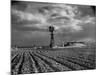 Picture from the Dust Bowl,With Deep Furrows Made by Farmers to Counteract Wind-Margaret Bourke-White-Mounted Premium Photographic Print