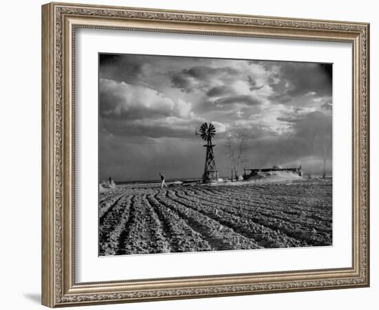 Picture from the Dust Bowl,With Deep Furrows Made by Farmers to Counteract Wind-Margaret Bourke-White-Framed Photographic Print