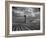 Picture from the Dust Bowl,With Deep Furrows Made by Farmers to Counteract Wind-Margaret Bourke-White-Framed Photographic Print