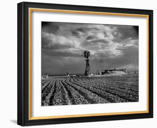 Picture from the Dust Bowl,With Deep Furrows Made by Farmers to Counteract Wind-Margaret Bourke-White-Framed Photographic Print