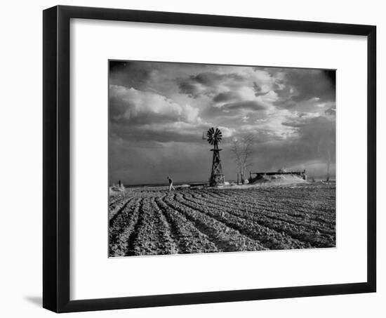 Picture from the Dust Bowl,With Deep Furrows Made by Farmers to Counteract Wind-Margaret Bourke-White-Framed Photographic Print