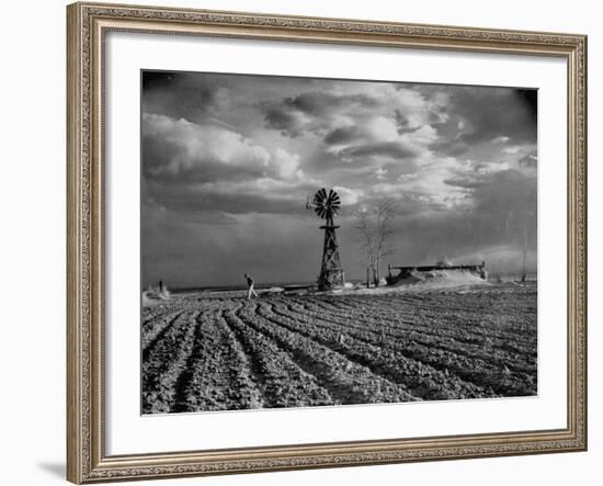 Picture from the Dust Bowl,With Deep Furrows Made by Farmers to Counteract Wind-Margaret Bourke-White-Framed Photographic Print