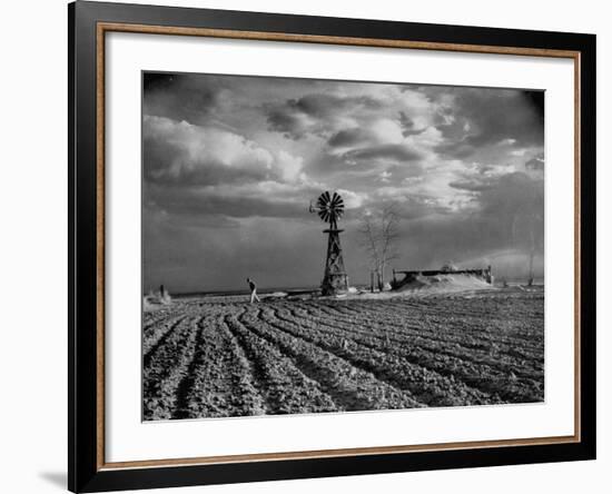 Picture from the Dust Bowl,With Deep Furrows Made by Farmers to Counteract Wind-Margaret Bourke-White-Framed Photographic Print