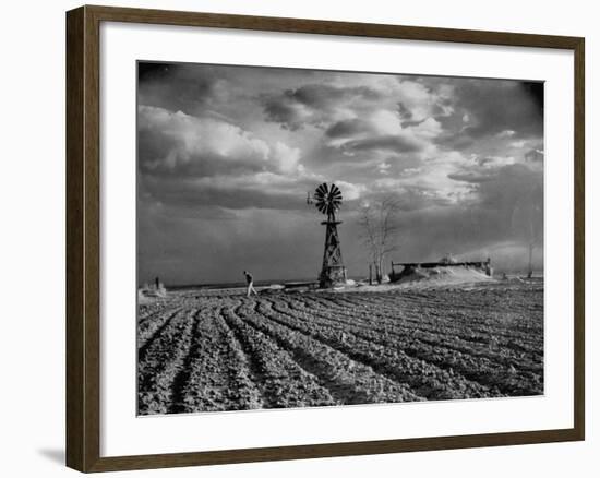 Picture from the Dust Bowl,With Deep Furrows Made by Farmers to Counteract Wind-Margaret Bourke-White-Framed Photographic Print