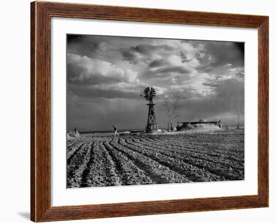 Picture from the Dust Bowl,With Deep Furrows Made by Farmers to Counteract Wind-Margaret Bourke-White-Framed Photographic Print