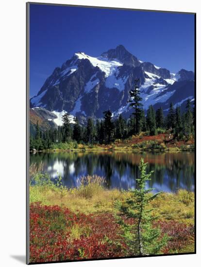 Picture Lake and Mount Shuksan at Heather Meadows, Washington, USA-Jamie & Judy Wild-Mounted Photographic Print