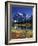 Picture Lake and Mount Shuksan at Heather Meadows, Washington, USA-Jamie & Judy Wild-Framed Photographic Print