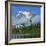 Picture Lake and Mt Shuksan, North Cascades NP, Washington, USA-Charles Gurche-Framed Photographic Print