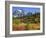 Picture Lake, Mt. Shuksan, Heather Meadows Recreation Area, Washington, Usa-Jamie & Judy Wild-Framed Photographic Print