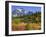 Picture Lake, Mt. Shuksan, Heather Meadows Recreation Area, Washington, Usa-Jamie & Judy Wild-Framed Photographic Print