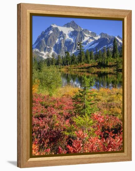 Picture Lake, Mt. Shuksan, Heather Meadows Recreation Area, Washington, Usa-Jamie & Judy Wild-Framed Premier Image Canvas