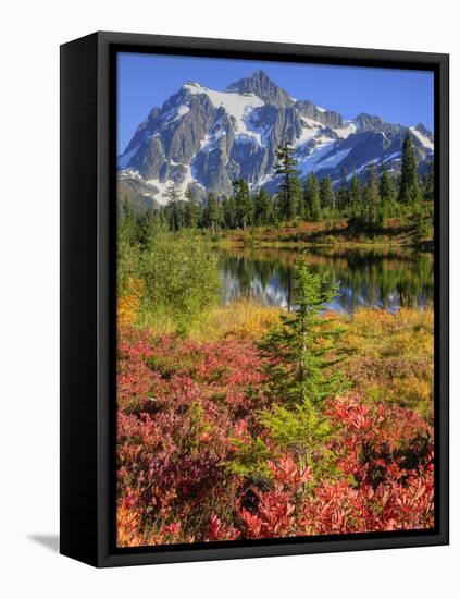 Picture Lake, Mt. Shuksan, Heather Meadows Recreation Area, Washington, Usa-Jamie & Judy Wild-Framed Premier Image Canvas