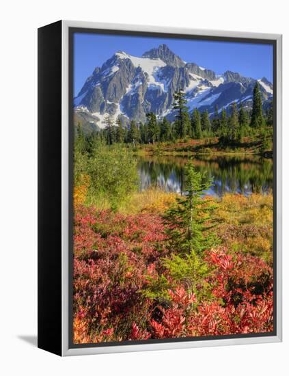 Picture Lake, Mt. Shuksan, Heather Meadows Recreation Area, Washington, Usa-Jamie & Judy Wild-Framed Premier Image Canvas