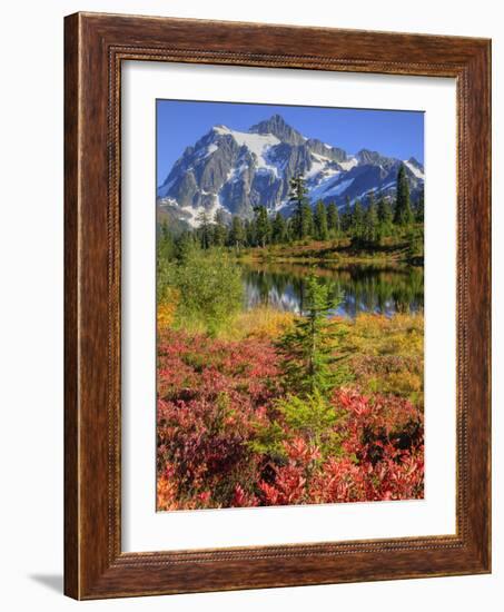 Picture Lake, Mt. Shuksan, Heather Meadows Recreation Area, Washington, Usa-Jamie & Judy Wild-Framed Photographic Print