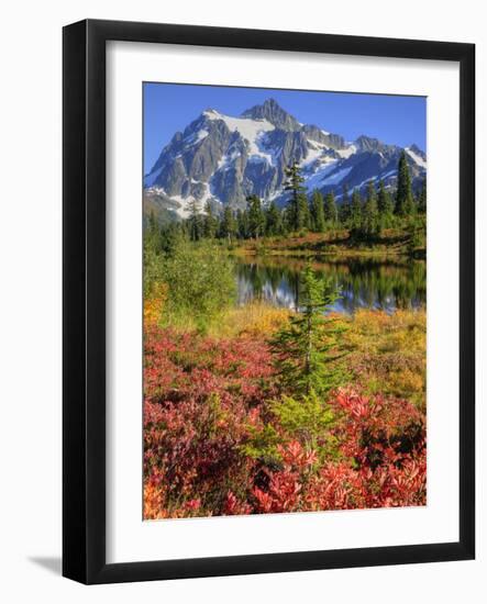 Picture Lake, Mt. Shuksan, Heather Meadows Recreation Area, Washington, Usa-Jamie & Judy Wild-Framed Photographic Print