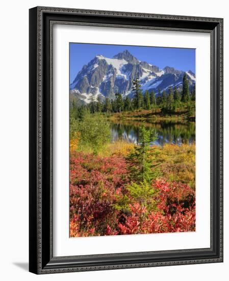 Picture Lake, Mt. Shuksan, Heather Meadows Recreation Area, Washington, Usa-Jamie & Judy Wild-Framed Photographic Print