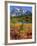 Picture Lake, Mt. Shuksan, Heather Meadows Recreation Area, Washington, Usa-Jamie & Judy Wild-Framed Photographic Print