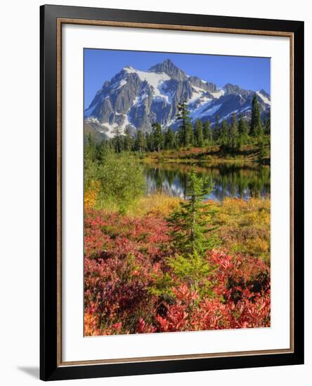 Picture Lake, Mt. Shuksan, Heather Meadows Recreation Area, Washington, Usa-Jamie & Judy Wild-Framed Photographic Print