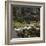 Picture of a cat in Athens. Artist: Unknown-Unknown-Framed Photographic Print