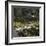 Picture of a cat in Athens. Artist: Unknown-Unknown-Framed Photographic Print