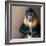 Picture Of A Colourful Displeased Mandrill-NejroN Photo-Framed Photographic Print