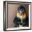 Picture Of A Colourful Displeased Mandrill-NejroN Photo-Framed Photographic Print