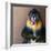 Picture Of A Colourful Displeased Mandrill-NejroN Photo-Framed Photographic Print