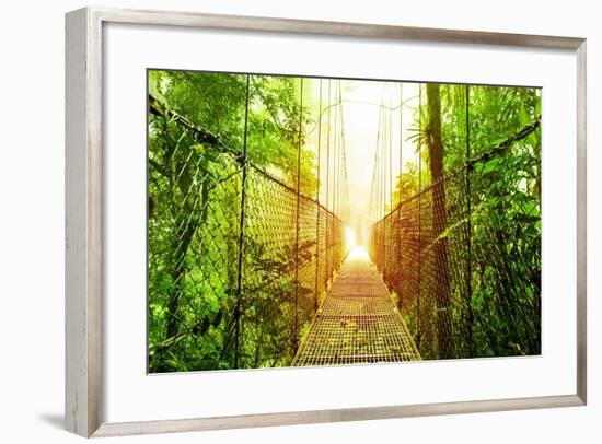 Picture of Arenal Hanging Bridges Ecological Reserve, Natural Rainforest Park-Anna Omelchenko-Framed Art Print