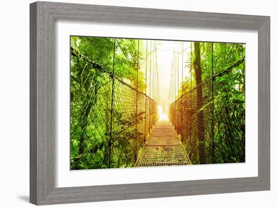 Picture of Arenal Hanging Bridges Ecological Reserve, Natural Rainforest Park-Anna Omelchenko-Framed Premium Giclee Print