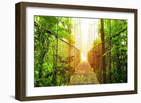 Picture of Arenal Hanging Bridges Ecological Reserve, Natural Rainforest Park-Anna Omelchenko-Framed Premium Giclee Print