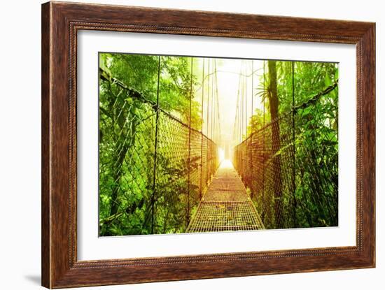 Picture of Arenal Hanging Bridges Ecological Reserve, Natural Rainforest Park-Anna Omelchenko-Framed Premium Giclee Print