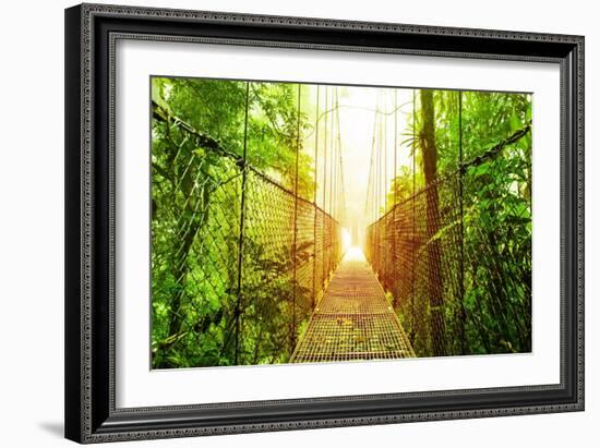 Picture of Arenal Hanging Bridges Ecological Reserve, Natural Rainforest Park-Anna Omelchenko-Framed Premium Giclee Print