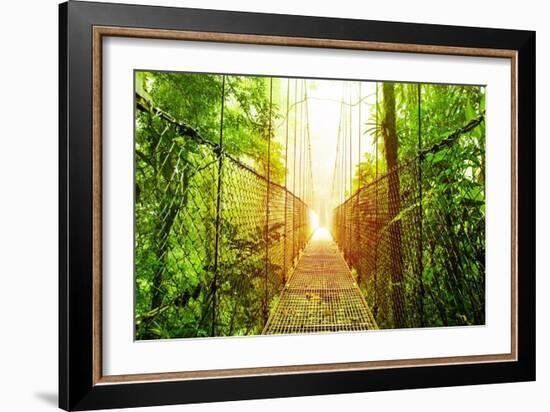 Picture of Arenal Hanging Bridges Ecological Reserve, Natural Rainforest Park-Anna Omelchenko-Framed Art Print