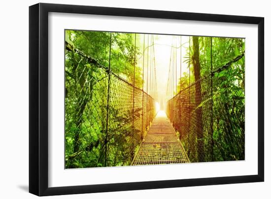 Picture of Arenal Hanging Bridges Ecological Reserve, Natural Rainforest Park-Anna Omelchenko-Framed Art Print