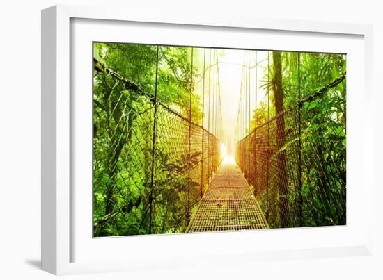 Picture of Arenal Hanging Bridges Ecological Reserve, Natural Rainforest Park-Anna Omelchenko-Framed Art Print