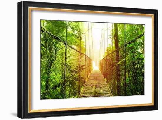 Picture of Arenal Hanging Bridges Ecological Reserve, Natural Rainforest Park-Anna Omelchenko-Framed Art Print