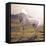 Picture of Majestic White Arabian Horse-Konrad B?k-Framed Premier Image Canvas