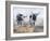 Picture Perfect IV-Kathy Winkler-Framed Art Print