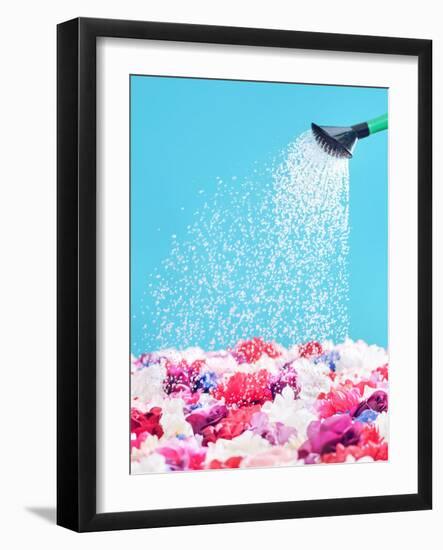 Picture Presenting Watering the Fragrant Flowers-Konrad B?k-Framed Photographic Print