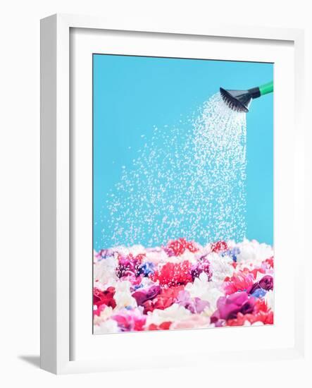 Picture Presenting Watering the Fragrant Flowers-Konrad B?k-Framed Photographic Print