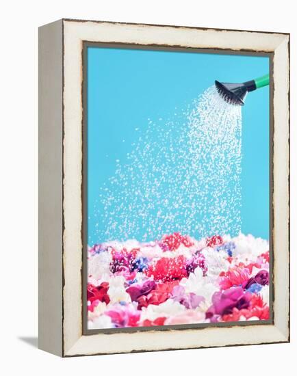 Picture Presenting Watering the Fragrant Flowers-Konrad B?k-Framed Premier Image Canvas