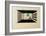 Pictures at an Exhibition Picture II Gnomus, 1930-Wassily Kandinsky-Framed Giclee Print