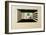 Pictures at an Exhibition Picture II Gnomus, 1930-Wassily Kandinsky-Framed Giclee Print