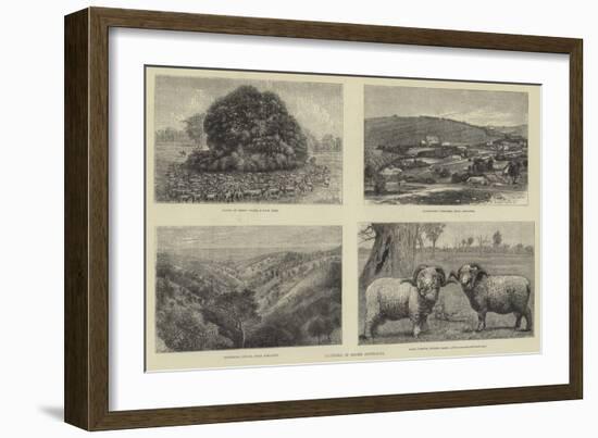 Pictures of South Australia-Samuel Edmund Waller-Framed Giclee Print