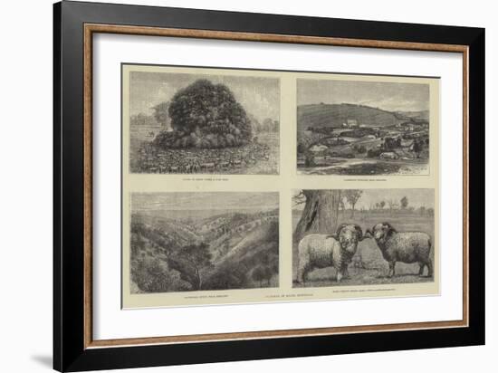 Pictures of South Australia-Samuel Edmund Waller-Framed Giclee Print