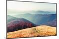 Premium Photographic Print