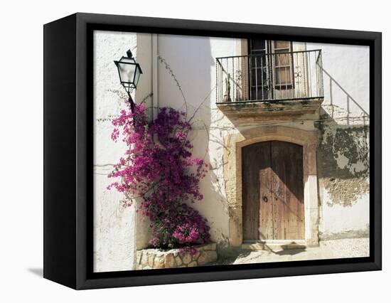 Picturesque Doorway, Altafulla, Tarragona, Catalonia, Spain-Ruth Tomlinson-Framed Premier Image Canvas