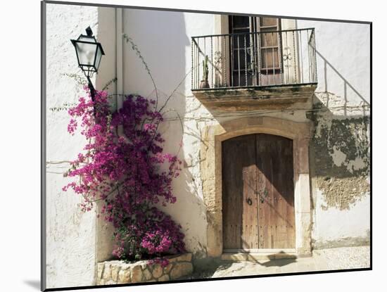 Picturesque Doorway, Altafulla, Tarragona, Catalonia, Spain-Ruth Tomlinson-Mounted Photographic Print