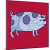 Piddle Valley Pig, 2005-Sarah Hough-Mounted Giclee Print