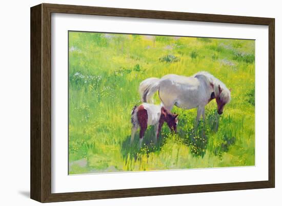 Piebald horse and foal-William Ireland-Framed Giclee Print